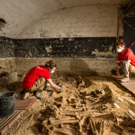 image d'illustration