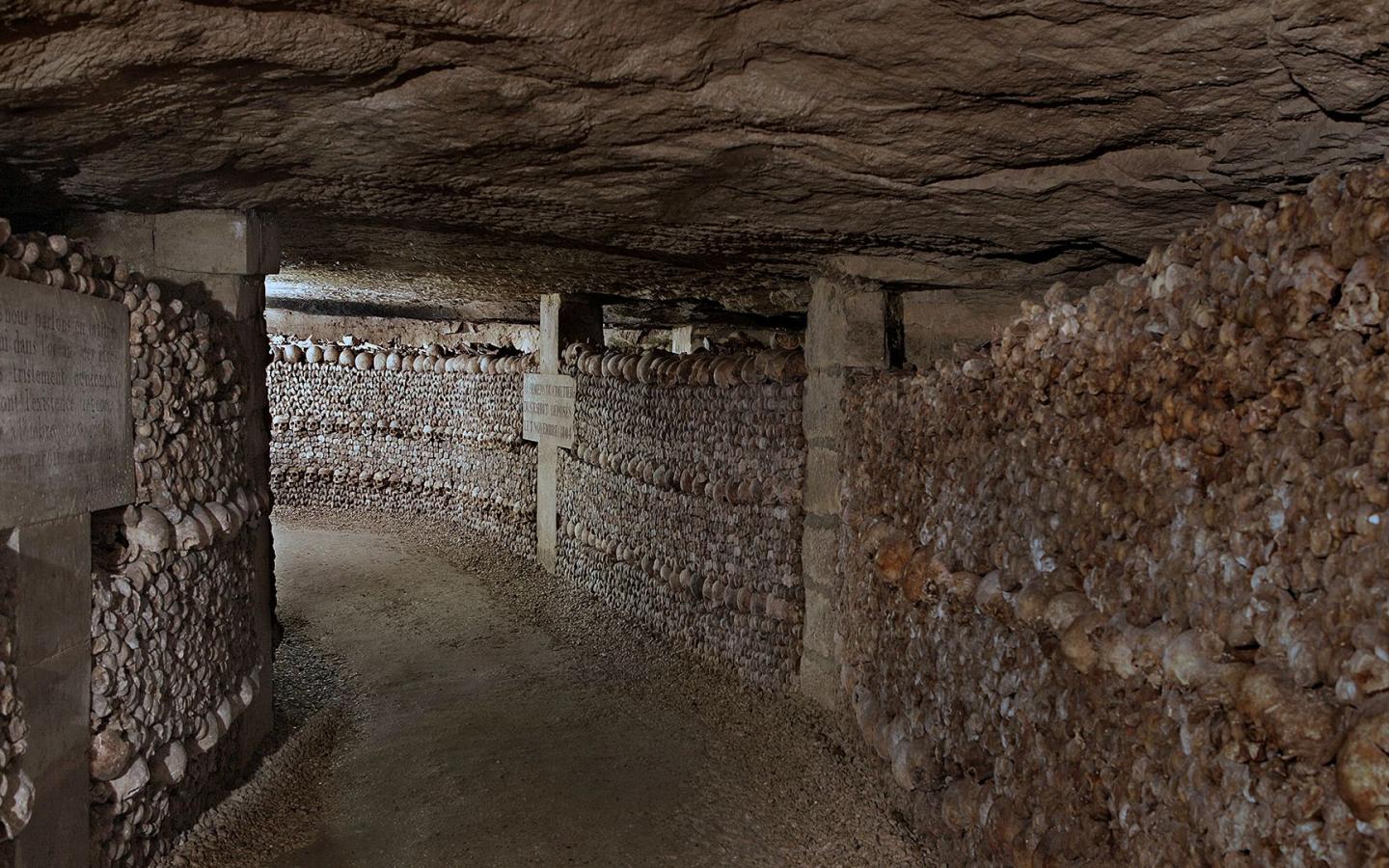 Image background accueil